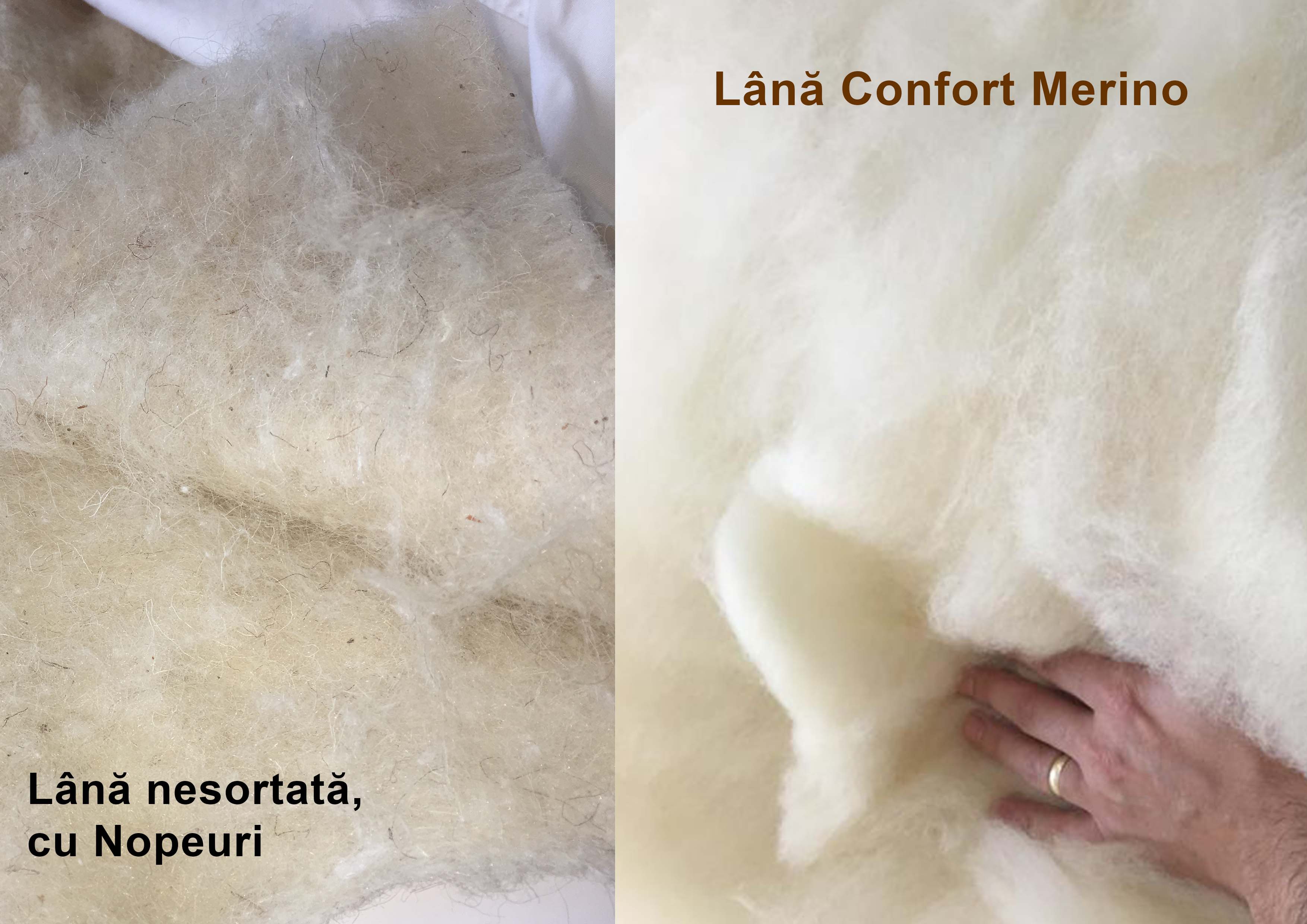 lana confort merino